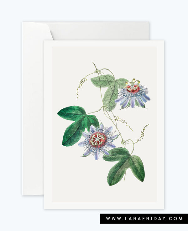 0142-vintage botanical blue 7